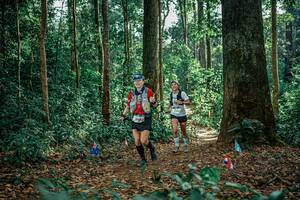 BIB: 
                            <button type="button" onclick="openModal(26133000)" class="btn btn-primary btn-sm float-right btn-popup" data-toggle="modal" data-target=".modal-high-quality">
                        <i class="fas fa-shopping-cart"></i> Add to Cart
                    </button>
                                            <button type="button" onclick="isThisMe(26133000, true)" class="btn btn-success btn-sm float-right btn-popup btn-isme hidden" data-toggle="tooltip" data-placement="bottom" title="นี่คือรูปของคุณใช่ไหม คลิกที่นี่เพื่อเอาเข้าอัลบั้ม">
                        <i class="fas fa-plus"></i> Add to album
                    </button>
                    <button type="button" onclick="isThisMe(26133000, false)" class="btn btn-warning btn-sm float-right btn-popup btn-isnotme hidden">
                        <i class="fas fa-ban"></i> Remove from album
                    </button>